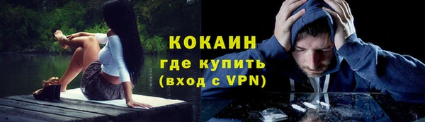 тгк Володарск