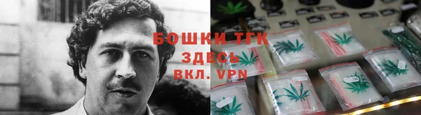 тгк Володарск