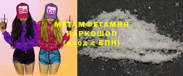 шишки Верхний Тагил