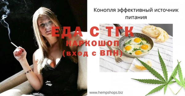 тгк Володарск